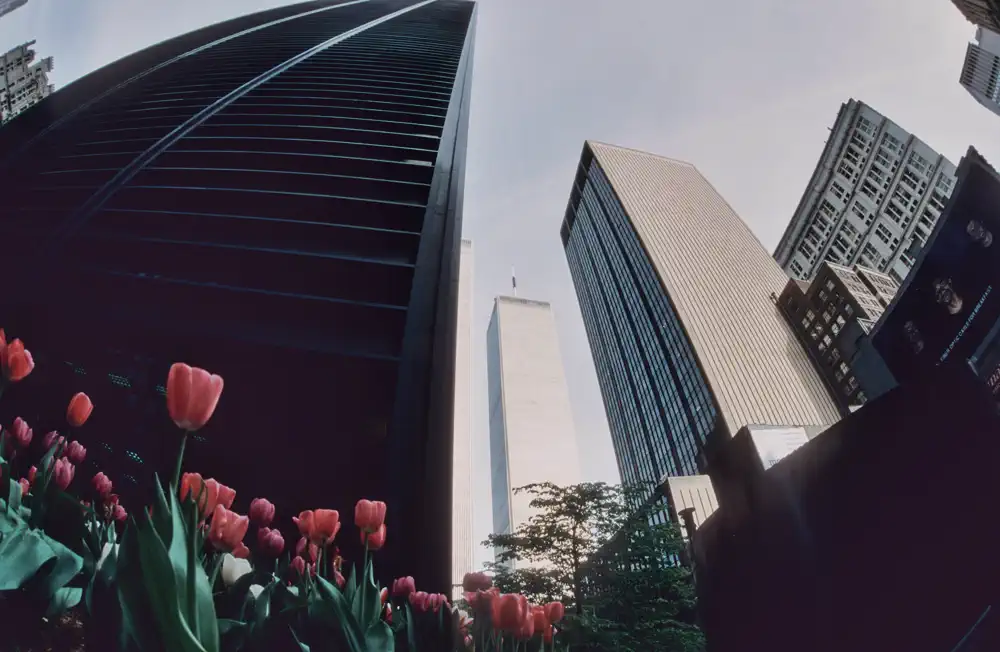 New York